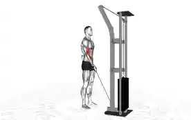 单臂绳索肱二头肌弯举（One-Arm Cable Biceps Curl）正确姿势