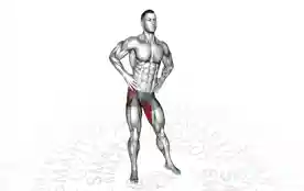 髋关节环绕(Hip Circles)正确姿势 髋关节环绕