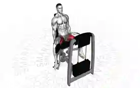 坐姿髋内收(Seated Hip Adduction)正确姿势 坐姿髋内收