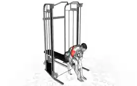 绳索坐姿后侧平举(Cable Seated Rear Lateral Raise)正确姿势 绳索坐姿后侧平举