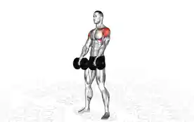哑铃交替前平举(Dumbbell Alternate Front Raise)正确姿势 哑铃交替前平举