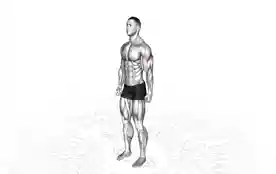 后束三角肌拉伸(Rear Deltoid Stretch)正确姿势 后束三角肌拉伸