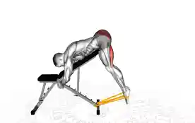 弹力带反向背伸展（Band Reverse Hyperextension）正确姿势