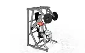 器械胸部推举(Machine Chest Press)正确姿势 器械胸部推举