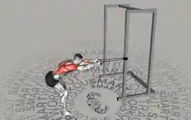 弹力带俯身背阔肌下拉