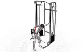 单臂绳索后束三角肌飞鸟(One-Arm Cable Rear Delt Fly)正确姿势 单臂绳索后束三角肌飞鸟