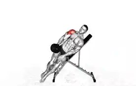 单臂哑铃上斜侧平举(One-Arm Dumbbell Incline Lateral Raise)正确姿势 单臂哑铃上斜侧平举