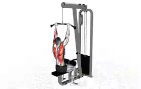 绳索下拉背部肌肉锻炼(Cable Lat Pulldown)正确姿势 绳索下拉背部肌肉锻炼