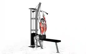 绳索窄握背阔肌下拉（Cable Close Grip Lat Pulldown）正确姿势