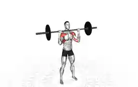 站姿杠铃推举（Barbell Overhead Press）正确姿势