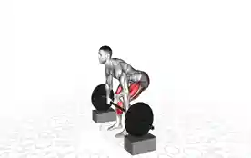 杠铃架拉举