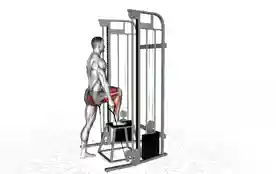 绳索台阶上升（Cable Step Up）正确姿势