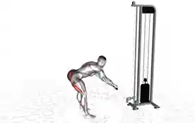 绳索罗马尼亚硬拉(Cable Romanian Deadlift)正确姿势 绳索罗马尼亚硬拉