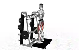 器械带式深蹲(Machine Belt Squat)正确姿势 器械带式深蹲
