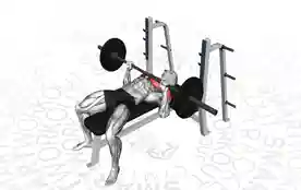 杠铃卧推(Barbell Bench Press)正确姿势 杠铃卧推