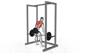 杠铃俯身划船(从支架开始)(Barbell Bent Over Row From Pin)正确姿势 杠铃俯身划船(从支架开始)