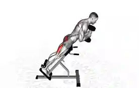 哑铃背部伸展（Back Extension With Dumbbell）正确姿势