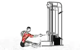 单臂拉力器划船(One-Arm Cable Row)正确姿势 单臂拉力器划船