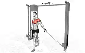低位高位拉力器胸部飞鸟(Low High Cable Chest Fly)正确姿势 低位高位拉力器胸部飞鸟