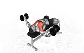 仰卧哑铃飞鸟(Dumbbell Chest Fly)正确姿势 仰卧哑铃飞鸟