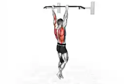 负重引体向上(Weighted Pull-Up)正确姿势 负重引体向上