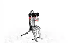 坐姿肩推中立握姿(Seated Shoulder Press Neutral Grip)正确姿势 坐姿肩推中立握姿