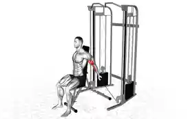 坐姿拜西安绳索弯举(Bayesian Cable Curl Seated)正确姿势 坐姿拜西安绳索弯举