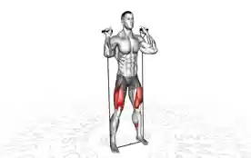 弹力带深蹲（Band Squat）正确姿势