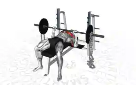 杠铃链条卧推(Barbell Bench Press with Chains)正确姿势 杠铃链条卧推