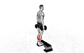 哑铃站立提踵(Dumbbell Standing Calf Raises)正确姿势 哑铃站立提踵