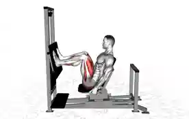 杠杆式水平腿举(Lever Horizontal Leg Press)正确姿势 杠杆式水平腿举