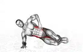 侧板支撑蛤壳式（Side Plank Clamshell）正确姿势