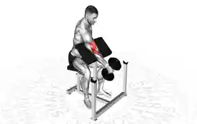 单臂牧师凳锤式弯举(One-Arm Preacher Hammer Curl)正确姿势 单臂牧师凳锤式弯举