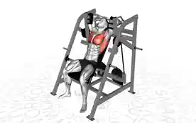器械下拉(Machine Pullover)正确姿势 器械下拉