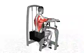 宽握距胸部支撑划船(Wide Grip Chest Supported Row)正确姿势 宽握距胸部支撑划船