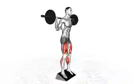 骑行者深蹲（Cyclist Squat）正确姿势