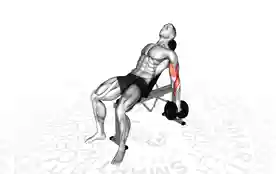 哑铃上斜锤式弯举（Dumbbell Incline Hammer Curl）正确姿势
