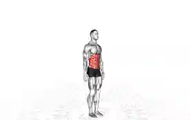 站立前屈(Standing Forward Bend)正确姿势 站立前屈