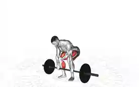 传统硬拉(Deadlift)正确姿势 传统硬拉