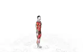 波比跳（Burpee）正确姿势