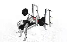 阻力带卧推(Bench Press With Resistance Band)正确姿势 阻力带卧推