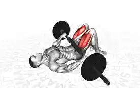 杠铃臀桥(Barbell Glute Bridge)正确姿势 杠铃臀桥