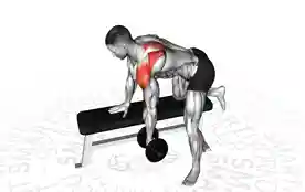 哑铃后束三角肌划船(Dumbbell Rear Delt Row)正确姿势 哑铃后束三角肌划船