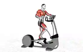 椭圆机（Elliptical Trainer）正确姿势