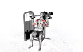 器械肩推举（Machine Shoulder Press）正确姿势