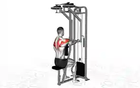 器械反向飞鸟（Machine Reverse Flyes）正确姿势