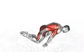 全平板支撑（Full Planche）正确姿势