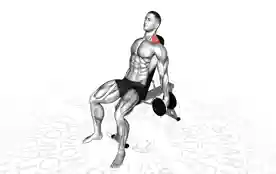 坐姿哑铃耸肩(Seated Dumbbell Shrugs)正确姿势 坐姿哑铃耸肩