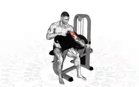 单臂机器牧师弯举(One-Arm Machine Preacher Curl)正确姿势 单臂机器牧师弯举