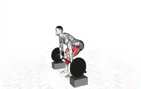 从垫块上提举（Deadlift from Blocks）正确姿势